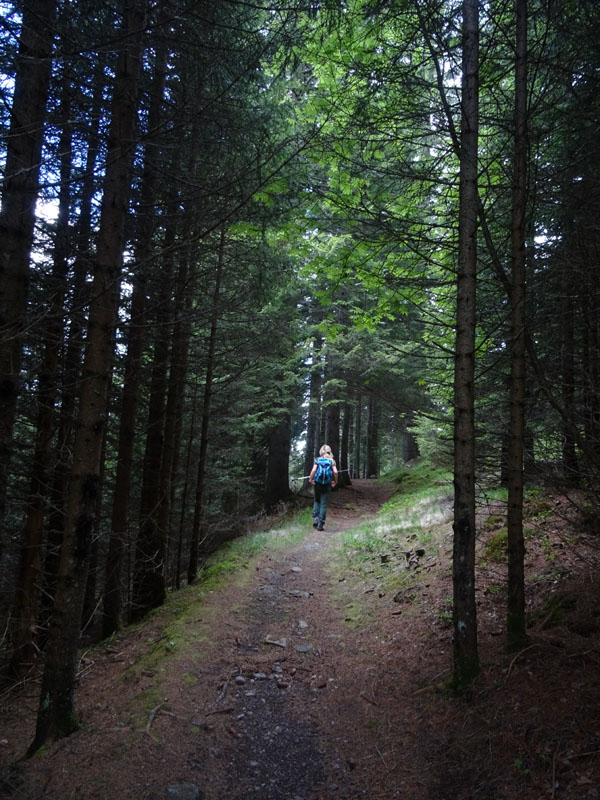 Catena dei Lagorai...da Pergine al Passo del Manghen